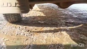 Авторазбор ваз 2107.Кратко, сколько можно заработать?