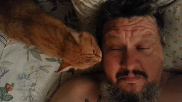 А может это любовь? смотреть онлайн