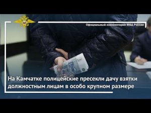 Ирина Волк: На Камчатке полицейские пресекли дачу взятки должностным лицам в особо крупном размере