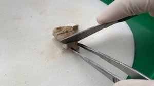 Огненная реакция НАТРИЯ с ВОДОЙ? - ALLхимия