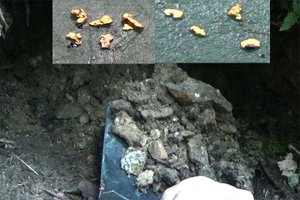 Разведка россыпного золота на ручье! Гиблые места...