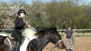 Езда верхом на лошади в Horse Familу