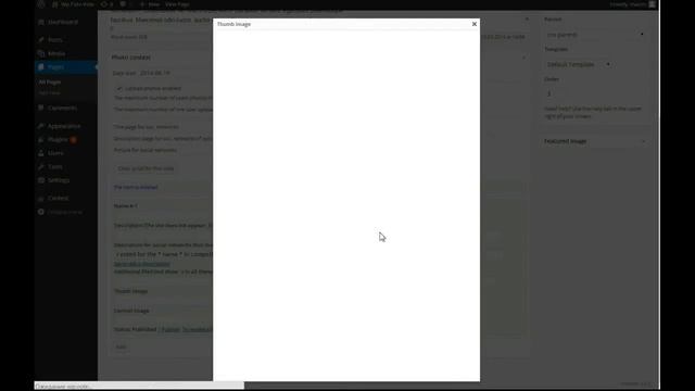 Wp Foto Vote: install plugin and create contest (Wordpress) смотреть онлайн
