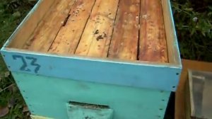 Кормушки для пчел из подручных материалов