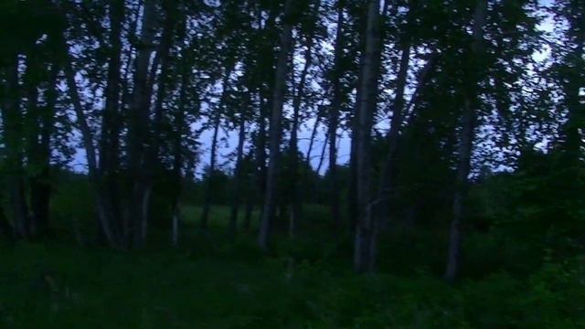 поселок Андарма