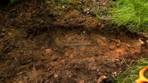 Погибшие немцы у военной дороги / The dead Germans near the military road