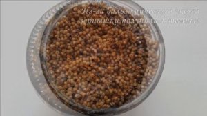 Французская горчица рецепт