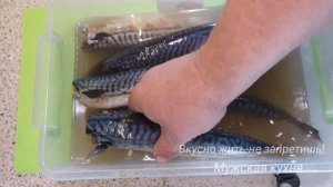 СКУМБРИЯ ПРОВЕСНАЯ КАК ПО Госту 7448 сухой посол / suspended mackerel