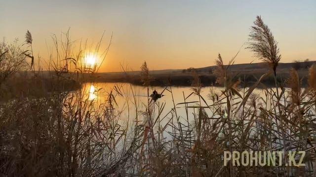 Охота на фазана и утку в охотничьем хозяйстве «Самсы» смотреть онлайн