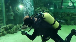 Океанариум Краснодара ТЦ Галактика