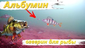 АЛЬБУМИН РЕАКЦИЯ РЫБЫ