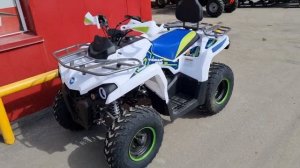 Поступление квадроциклов PROMAX RENEGADE 300 в X-MOTORS ?