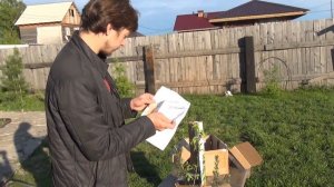 посылка цветник Поволжья распаковка