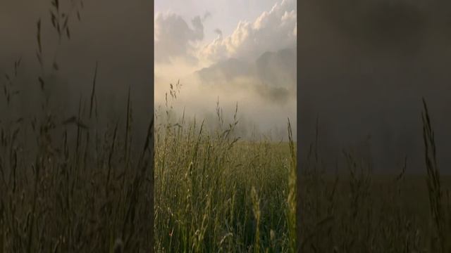 Great Smoky Mountains | Cloud Inversion