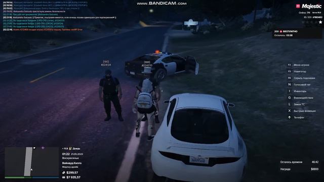 УГОНЩИЦА КРАСИВО ОБУЛА КОПОВ В ЧЕШКИ в GTA 5 на MAJESTIC RP смотреть онлайн