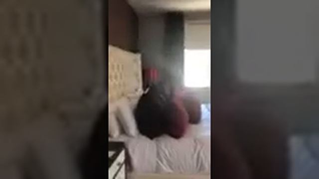 The Stein Eriksen Residences - Deer Valley, Utah смотреть онлайн