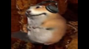 хомяк гоша жестко флексит под фонк и радуется жизни