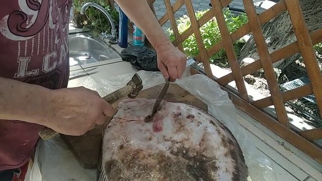 как разделать и приготовить камбалу
