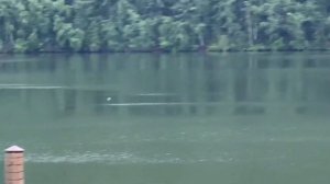 Стрельба из псп пневматике атаман м2р на 220 метров