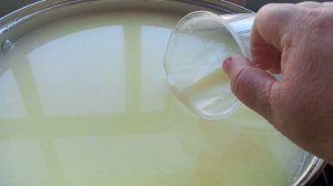 День молочной переработки