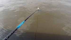 2Кг карп на Москва-реке? Все бывает!