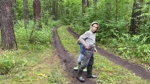 Съездили за грибами в лес. Там столько Грибов ??#влесзагрибами#влесу#грибы#грибывлесу