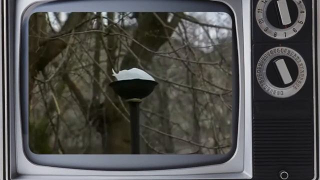 Видеопоздравление на 65 лет