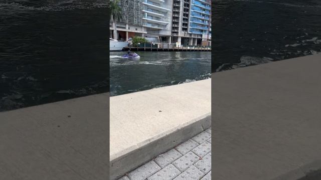 Cute Baby is watching the jet ski with interest