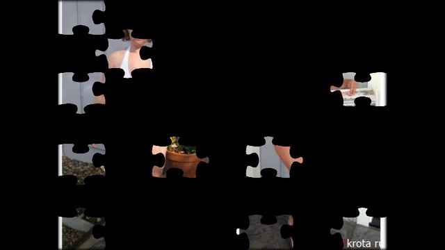 похудеть не ев после 6 смотреть онлайн