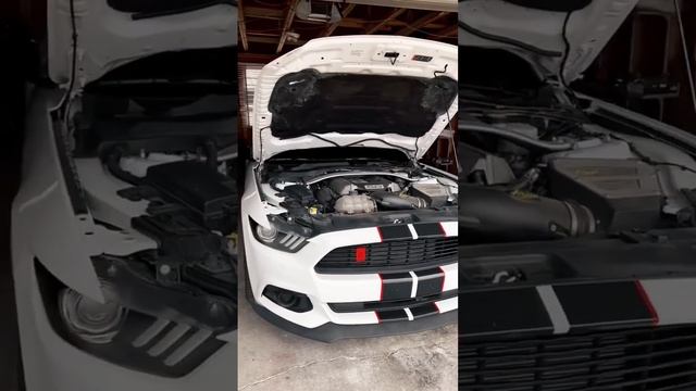 MRT Hood Strut install on my ‘16 Mustang GT/CS #ford #mustang #bolton