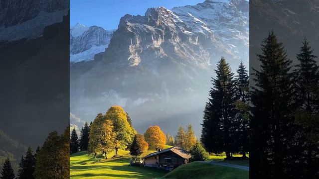 Гений Имам Аль-Бухари смотреть онлайн