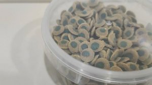 Корм для травоядных сомиков Tetra Pleco Veggie Wafers 250 мл