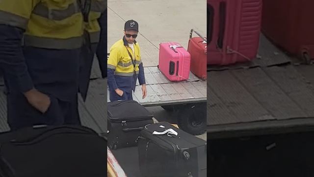 How airport baggage handlers handle your baggage