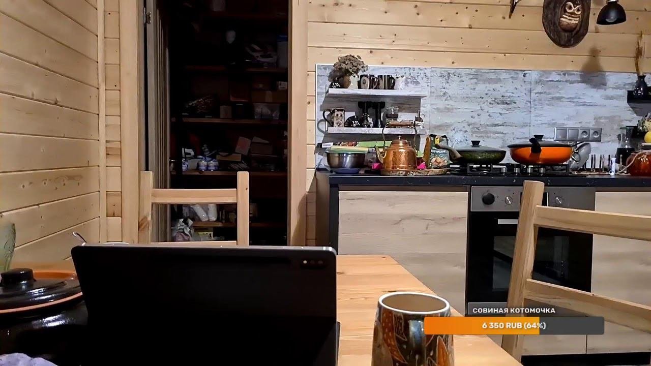 Yoll's добрый Stream из Совиного дола. Кормим птиченек в День Орнитолога