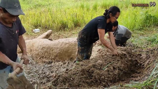 GIANT PYTHON SNAKE | Ular Python Sanca kembang Terbesar Dari Tanah Liat смотреть онлайн