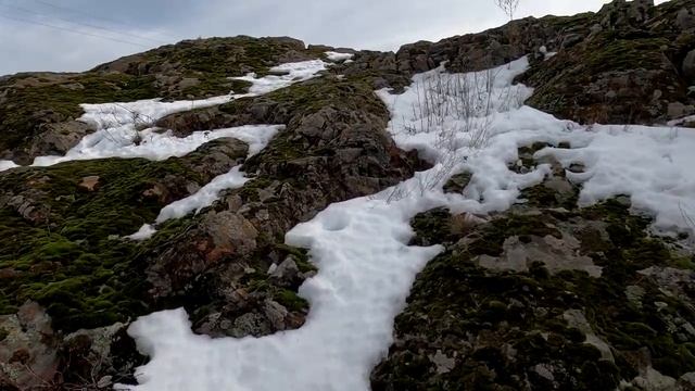 Природный заказник «Староласпинский»