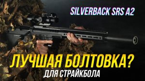 ЛУЧШАЯ СНАЙПЕРСКАЯ ВИНТОВКА ДЛЯ СТРАЙКБОЛА? SILVERBACK SRS A2.