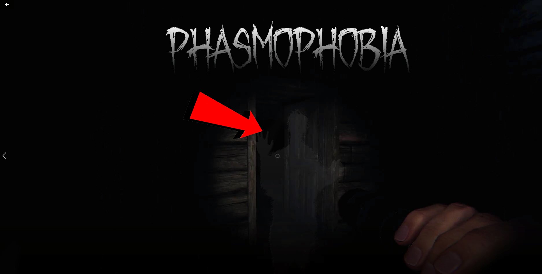 Phasmophobia черный экран при запуске фото 48