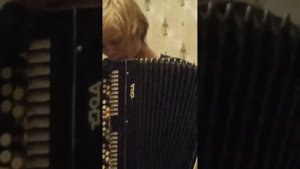 Кавер на колхозный панк сектор газа на баяне