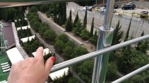Отель Ливадийский/Панорамный бассейн на девятом этаже/Что за дерево?