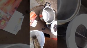 Сажаем морковь в клейстере