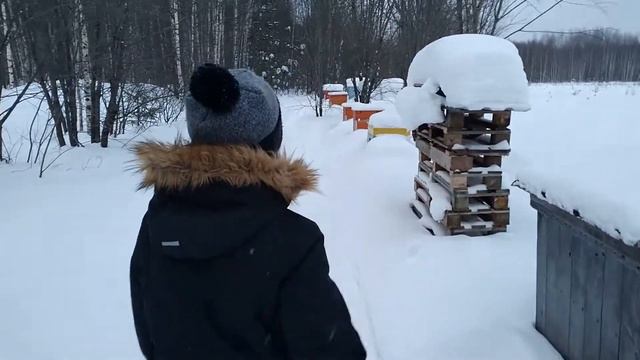 Обзор пасеки Шалабаевых!!! смотреть онлайн