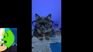 Kotiynet ЛОТКОВ В МАГАЗИНЕ in Sponsored by Preview 2006 V2 Effects