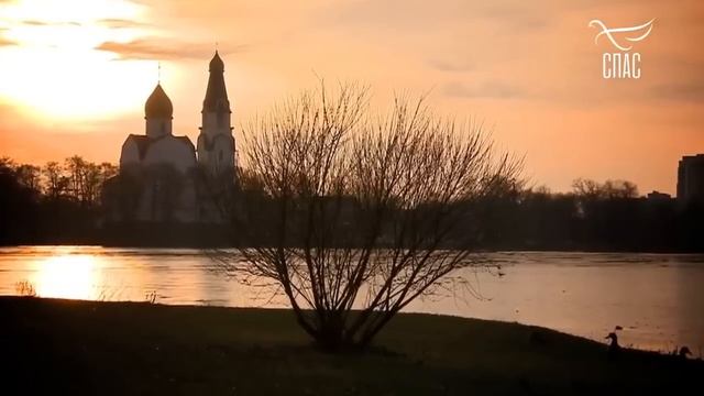 СВЯТИТЕЛЬ НЕКТАРИЙ ЭГИНСКИЙ. СВЯТЫЕ ЦЕЛИТЕЛИ смотреть онлайн