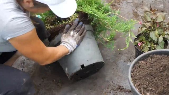 Посадка растений в геоткань смотреть онлайн