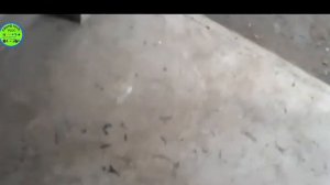 AUDIO MIXER 4CH.KP4 ALBEDO WITH DSP REVIEW/UNBOX