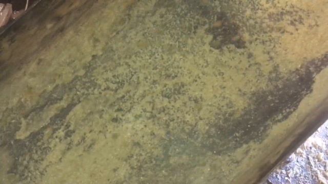 Производительность 400 Кг в Час 30  кВт Гранулированная Сосновая Стружка Гранулятор DR4R 400 Pine C смотреть онлайн