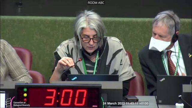 (Russian) 24 March 2022 10:00 to 13:00 (CET) - Plenary for SBI-03 смотреть онлайн