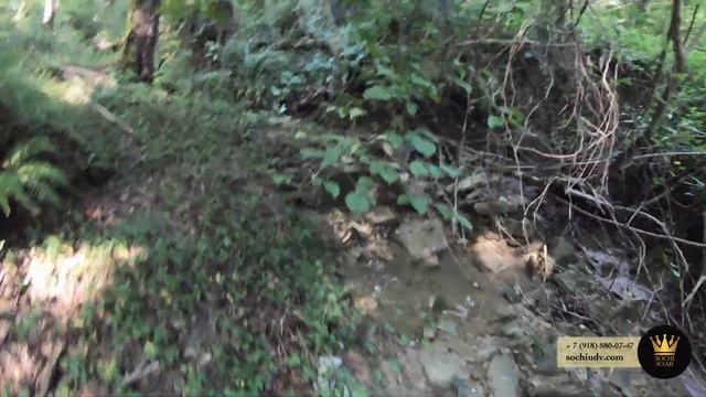 Неописуемая красота ОЗЕРО-БАНЯ-ГРИБЫ ЖК "Министерские Озёра" SOCHI-ЮДВ |ЖК Cочи ||Квартиры в Cочи смотреть онлайн