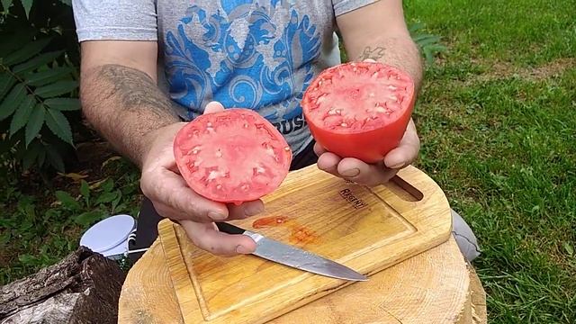 Томат Розовый мёд проба смотреть онлайн